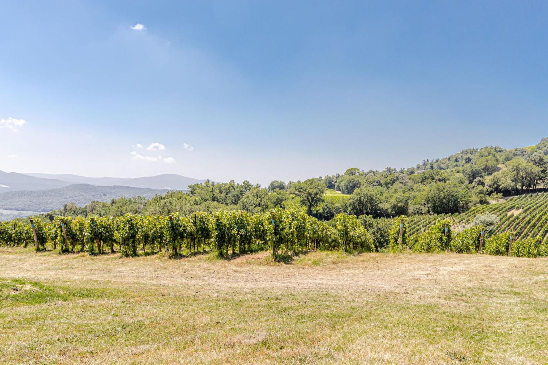Chateau La Siroque Montecatini Val di Cecina Eksteriør bilde